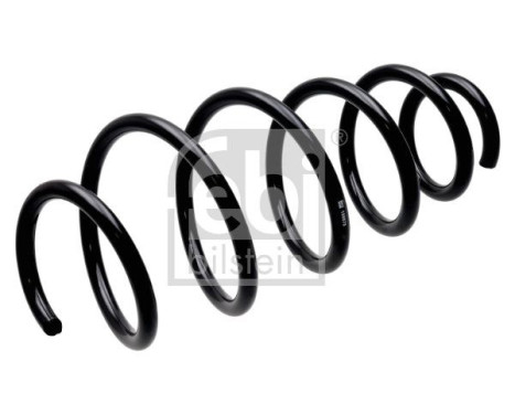 chassis spring 198678 FEBI, Image 2