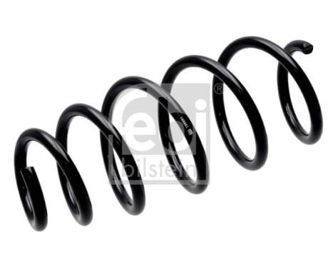 chassis spring 198681 FEBI