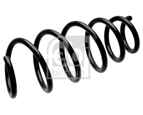 chassis spring 198681 FEBI, Image 2