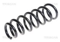 Chassis spring 8750 11135 zz.Triscan