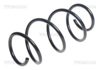 Chassis spring 8750 11144 zz.Triscan