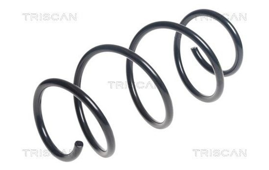 Chassis spring 8750 11144 zz.Triscan