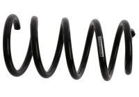 Chassis spring 992 290 Sachs