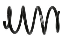 chassis spring 993 992 Sachs