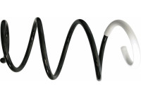 chassis spring 993 998 Sachs