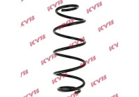 chassis spring RA1019 Kayaba