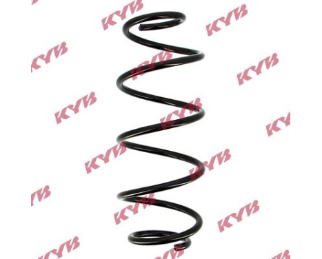 chassis spring RA1019 Kayaba