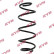 chassis spring RA1019 Kayaba