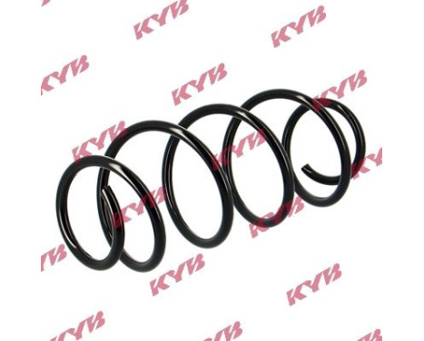 chassis spring RA1019 Kayaba, Image 2