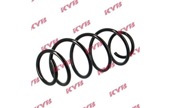 chassis spring RA1019 Kayaba, Image 2