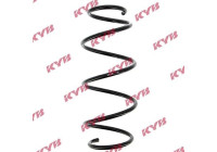 chassis spring RA1258 Kayaba