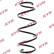 chassis spring RA1258 Kayaba