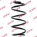 chassis spring RA1299 Kayaba