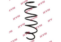 chassis spring RA1306 Kayaba