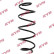 chassis spring RA1307 Kayaba