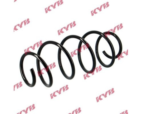 chassis spring RA1307 Kayaba, Image 2