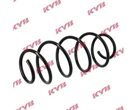 chassis spring RA1308 Kayaba, Image 2