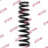 chassis spring RA1363 Kayaba