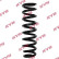 Chassis spring RA1366 Kayaba