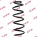 chassis spring RA1387 Kayaba