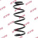 chassis spring RA1392 Kayaba