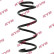 chassis spring RA1393 Kayaba
