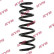 chassis spring RA1400 Kayaba