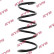 chassis spring RA1416 Kayaba