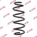chassis spring RA1419 Kayaba