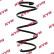 chassis spring RA1432 Kayaba