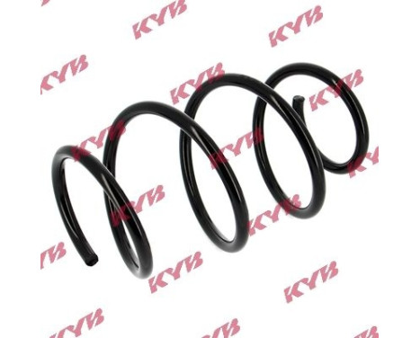 chassis spring RA1450 Kayaba, Image 2