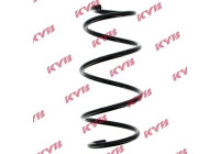 chassis spring RA1456 Kayaba