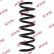 chassis spring RA1492 Kayaba