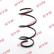 Chassis spring RA1513 Kayaba