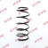 Chassis spring RA1517 Kayaba