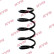 Chassis spring RA1524 Kayaba