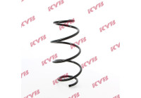 chassis spring RA1560 Kayaba
