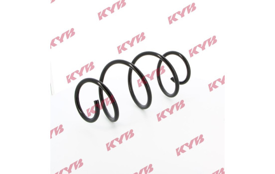 chassis spring RA1560 Kayaba, Image 2