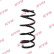 Chassis spring RA1606 Kayaba