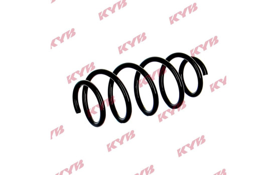 Chassis spring RA1613 Kayaba, Image 2