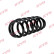 Chassis spring RA1616 Kayaba