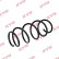 Chassis spring RA1661 Kayaba, Thumbnail 2