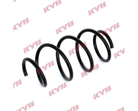 Chassis spring RA1687 Kayaba, Image 2