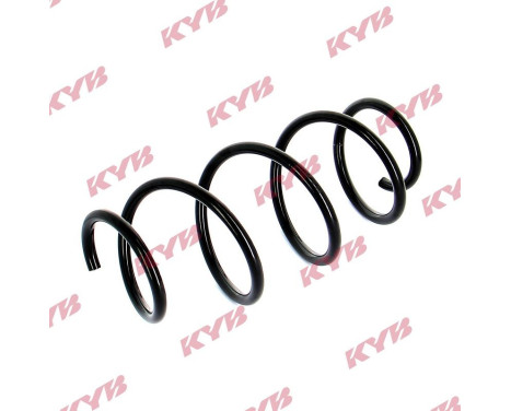 Chassis spring RA1691 Kayaba, Image 2