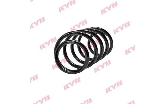 Chassis spring RA2169 Kayaba, Image 2