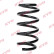 Chassis spring RA2211 Kayaba