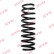 Chassis spring RA2214 Kayaba