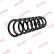 Chassis spring RA2215 Kayaba, Thumbnail 2