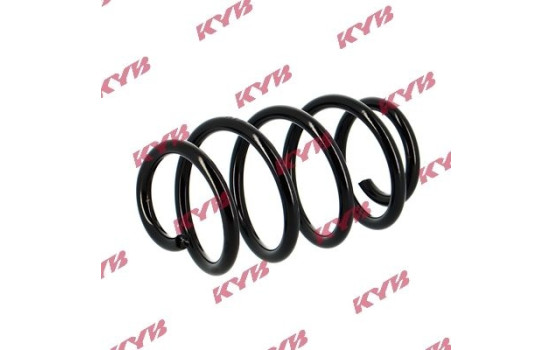 chassis spring RA3996 Kayaba