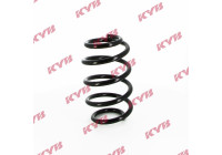 chassis spring RA4064 Kayaba